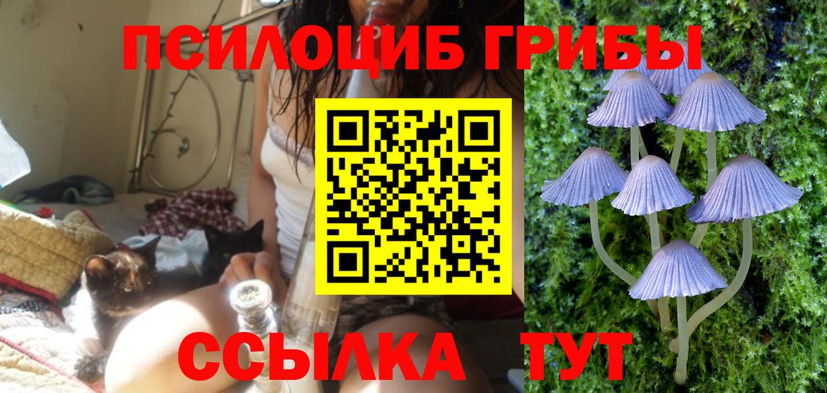 Галлюциногенные грибы мицелий Острогожск