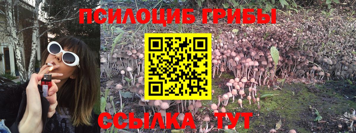 Псилоцибиновые грибы мухоморы  Псилоцибиновые грибы Psilocybe  Вход с VPN  Острогожск 